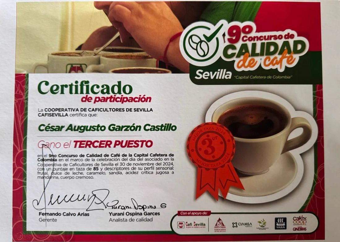 Cafisevilla certificate awarding third place in the 9th Coffee Quality Contest of Sevilla to César Augusto Garzón Castillo