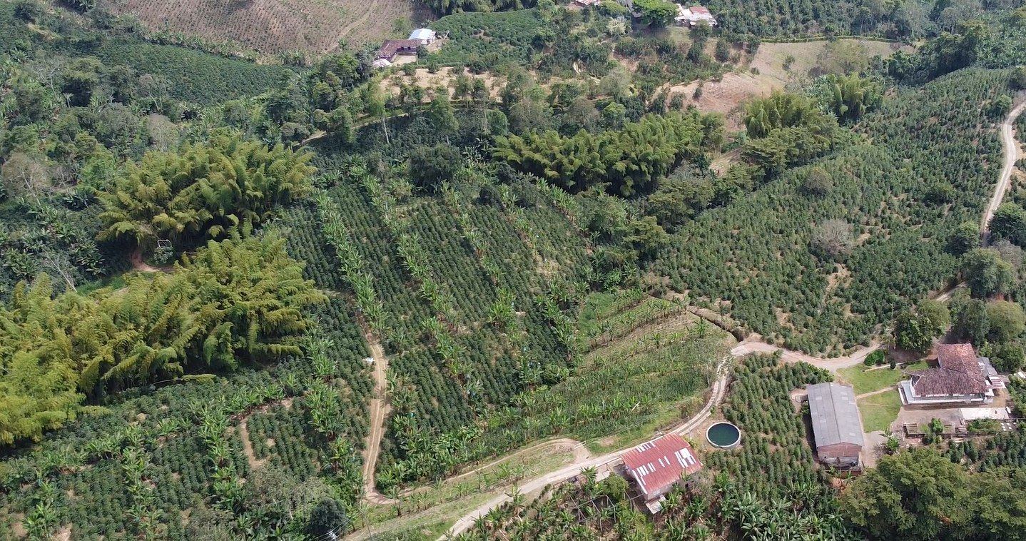 Aerial view of the farm houses surrounded by coffee and patches of forest
